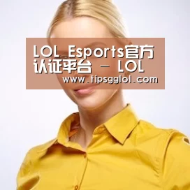 陈律师