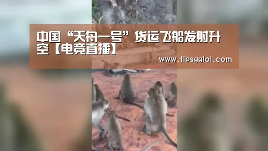 LOL英雄联盟投注 - 官方电竞竞猜平台官网