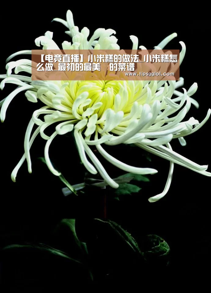 【电竞直播】小米糕的做法_小米糕怎么做_最初的最美❤的菜谱(图2) LOL英雄联盟投注 - 官方电竞竞猜平台