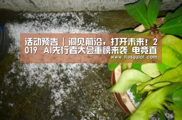 电竞直播